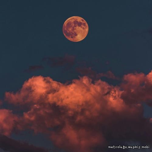 Moon Rabbit - Letters to the Moon.mp3