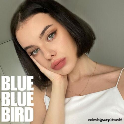 bluebluebird - midsummer.mp3