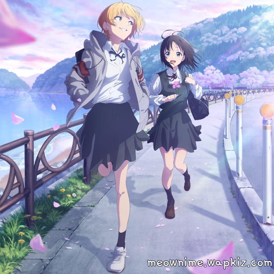 Cover album Opening Hana wa Saku, Shura no Gotoku dari SHISHAMO di Matikiri