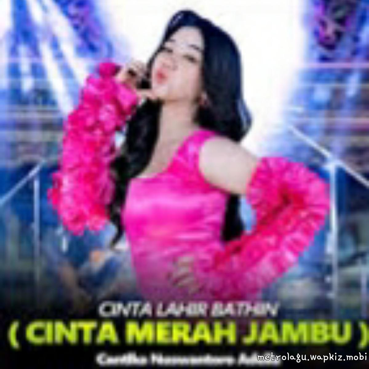 Cover lagu Cantika Adella - Cinta Merah Jambu di Matikiri