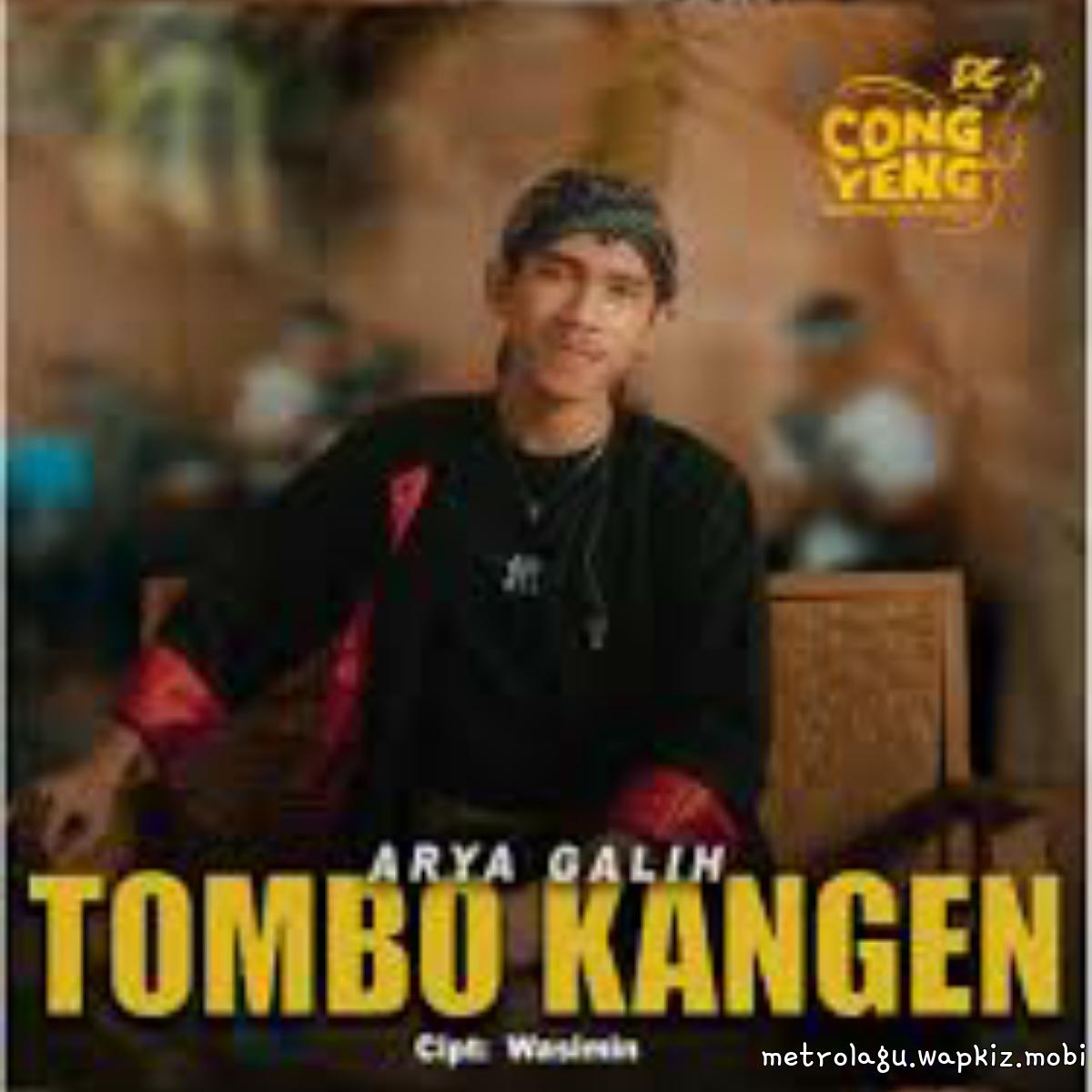 Cover lagu Arya Galih - Tombo Kangen di Matikiri