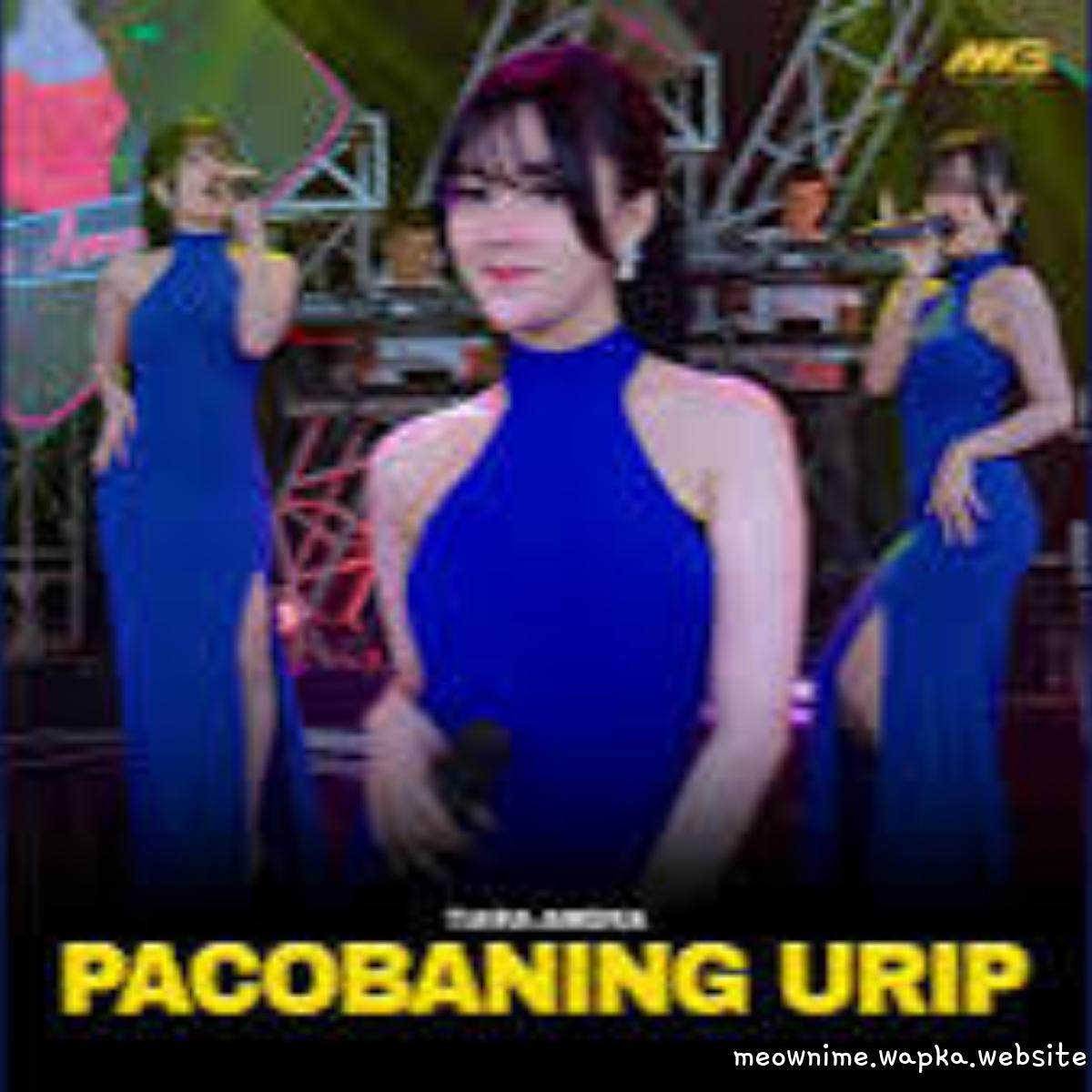 Cover album Pacobaning Urip dari Tiara Amora di Matikiri