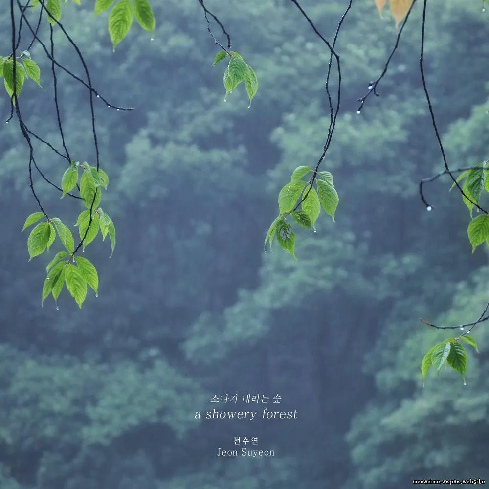 Jeon Su Yeon - a showery forest.mp3