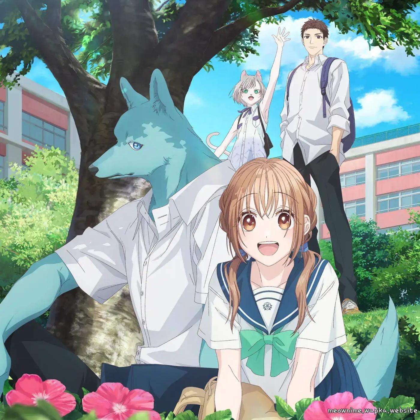 Cover album Kimi to Koete Koi ni Naru ED dari Yoh Kamiyama di Matikiri