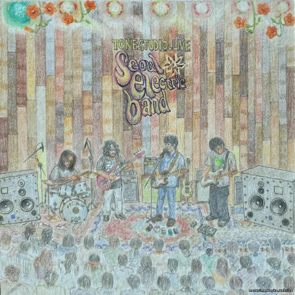 Seoul Electric Band - Wish to follow (Live).mp3