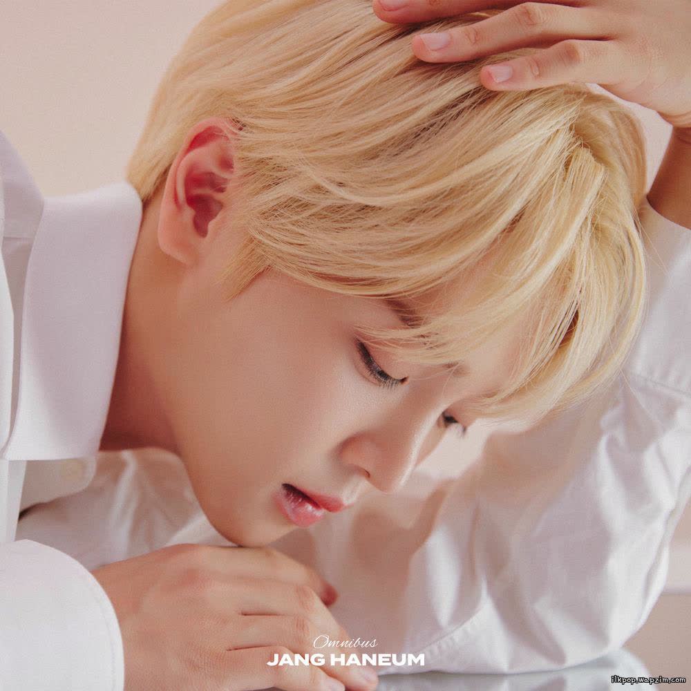 JANG HANEUM - Omnibus.mp3