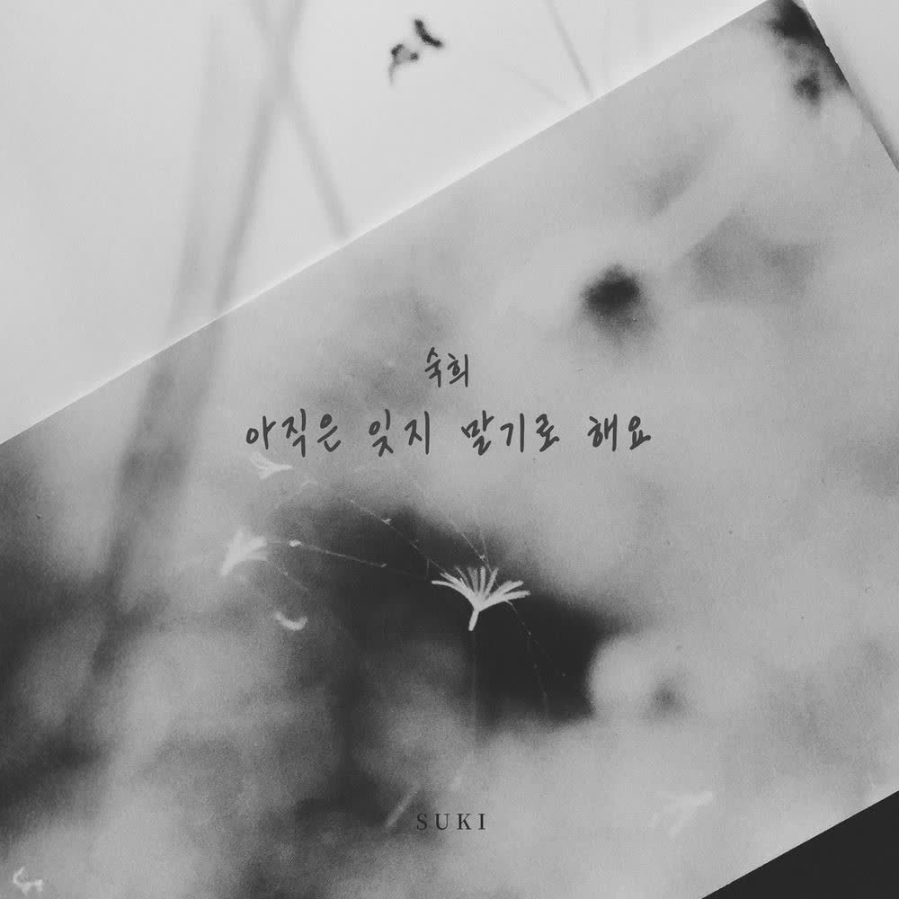 Suki - 아직은 잊지 말기로 해요 (Let's Not Forget).mp3