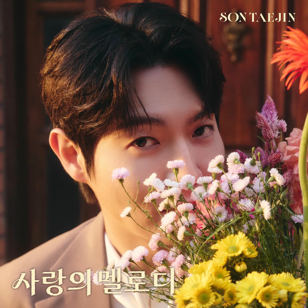 Son Tae Jin - 사랑의 멜로디 (Melody of Love).mp3