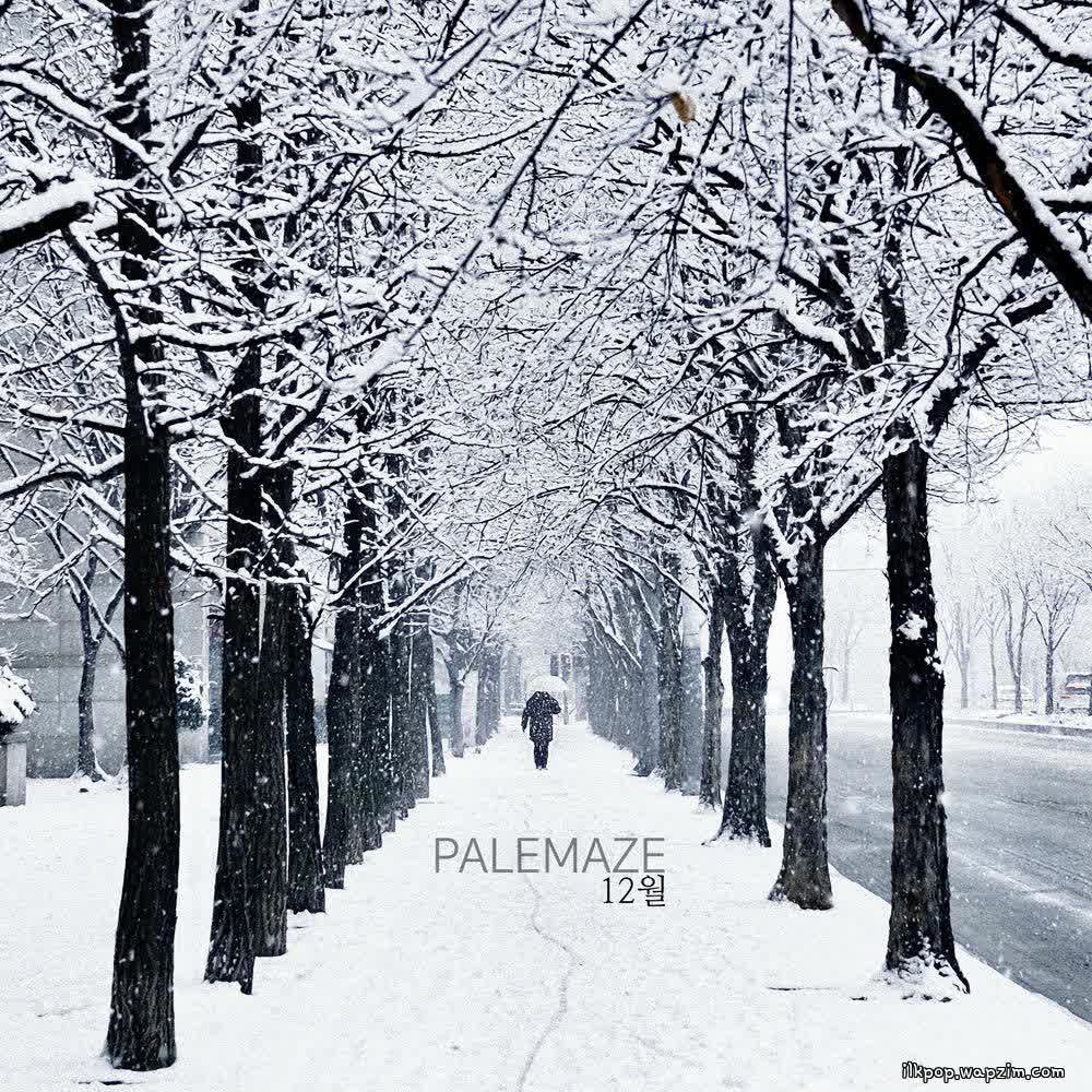 PALE MAZE - 날 꼭 기억해줬으면 해 (I really hope you'll remember me).mp3