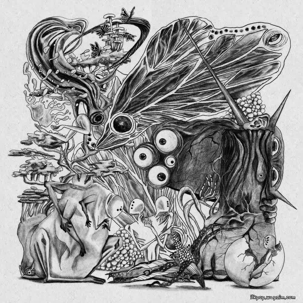 Cover album 우화 (Emergence) dari THE SOLUTIONS di Matikiri
