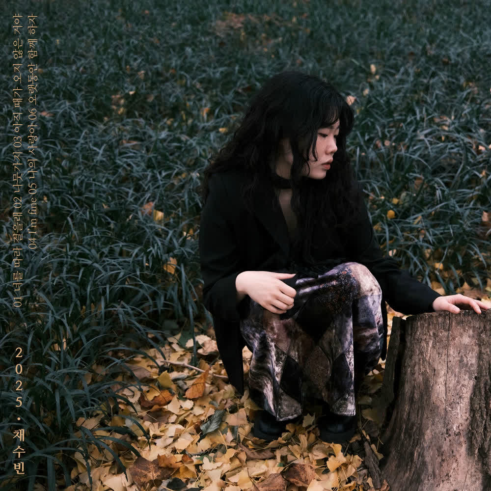 Cover album 2025ChaeSoobin dari Chae Soobin di Matikiri