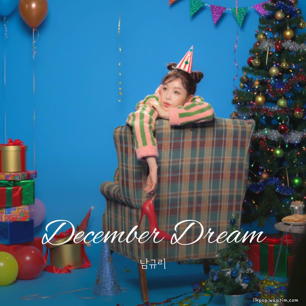 Cover album December Dream dari Nam Gyu Ri di Matikiri