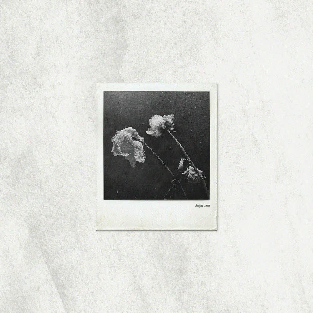 Cover Jae Woo AN - 이별과 사랑 사이 (Between Love and Goodbye) Cover album 이별과 사랑 사이 (Between Love and Goodbye) dari Jae Woo AN di Matikiri