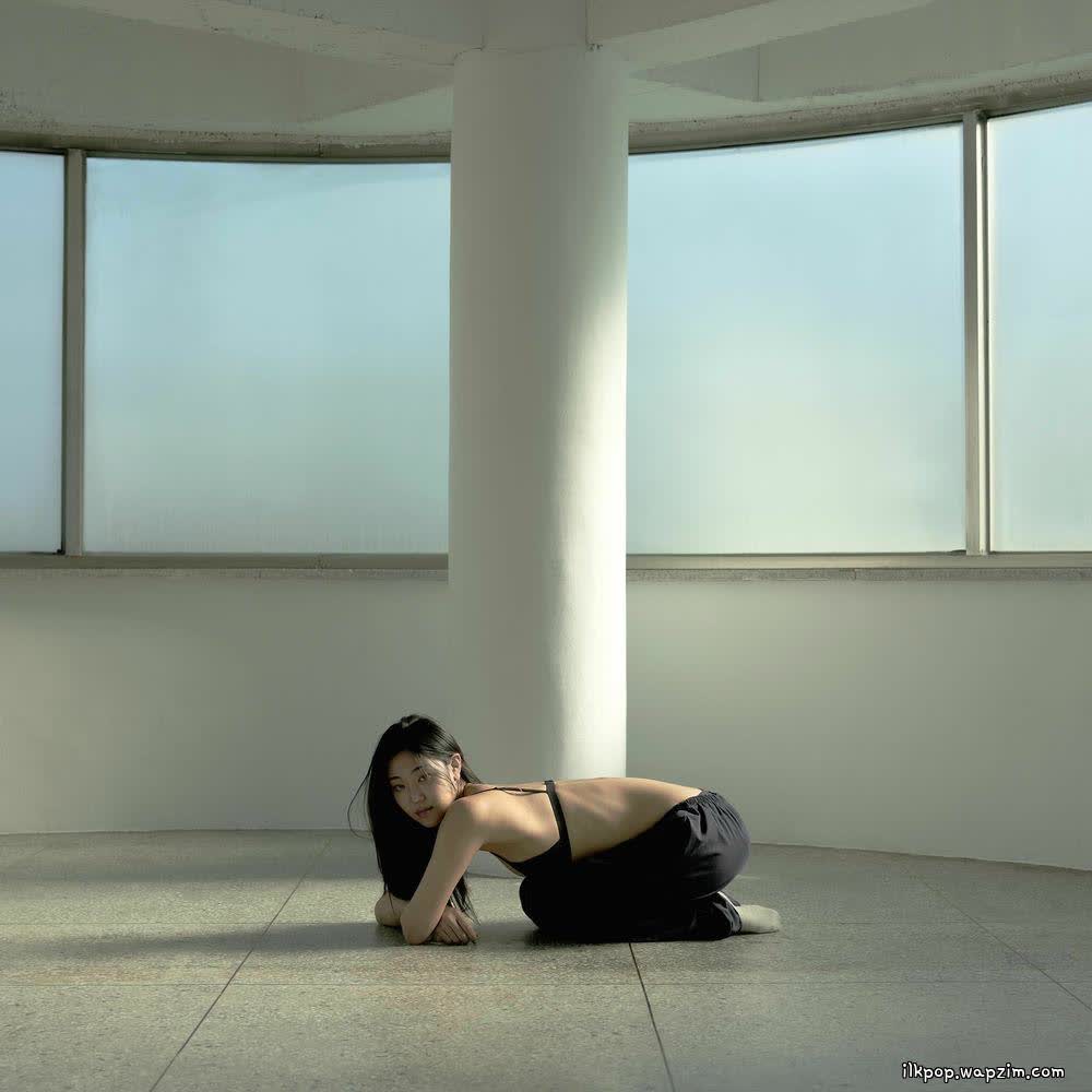 Cover album Shelter dari JUE di Matikiri