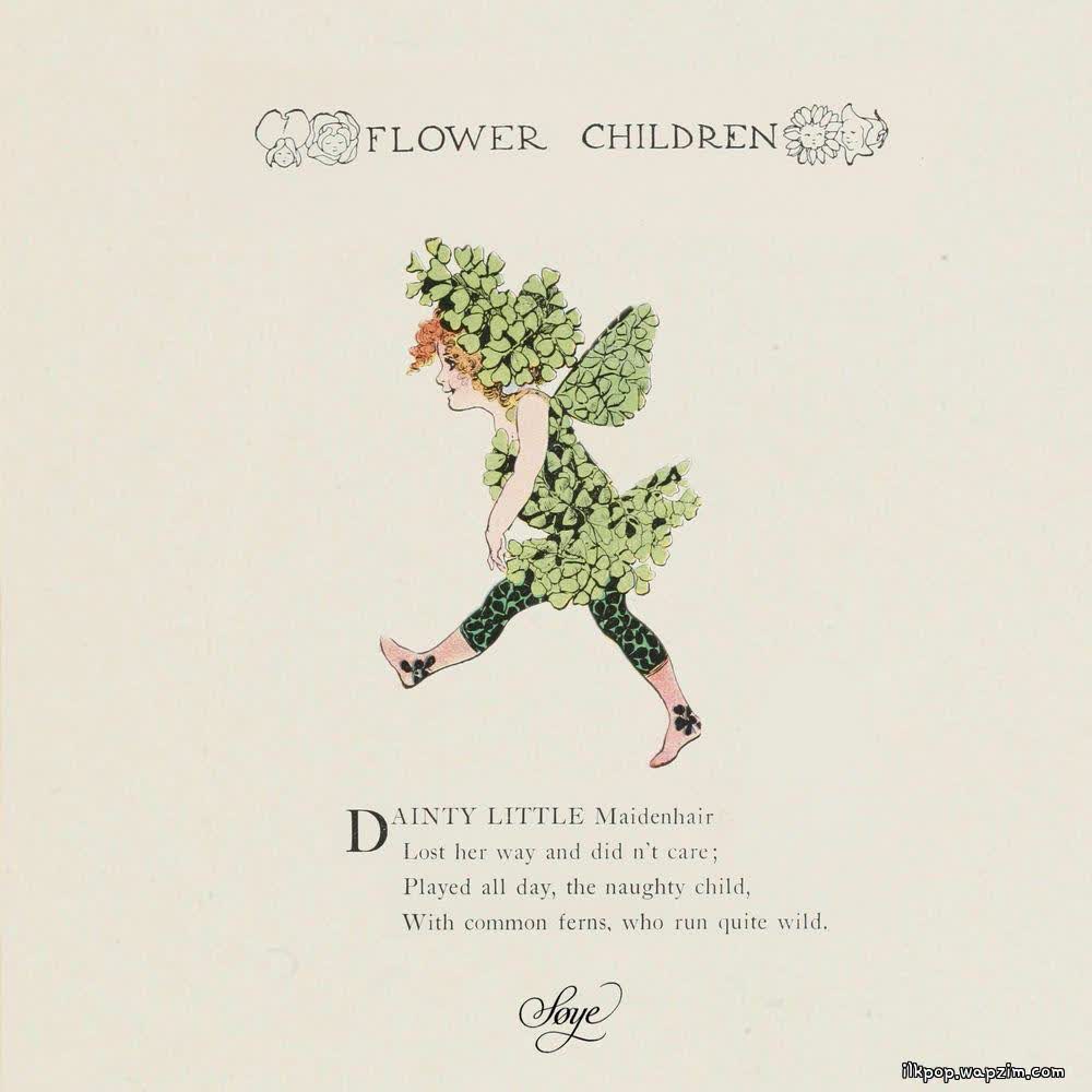 Cover album Mariposa (Orchestra Ver.) dari soye di Matikiri