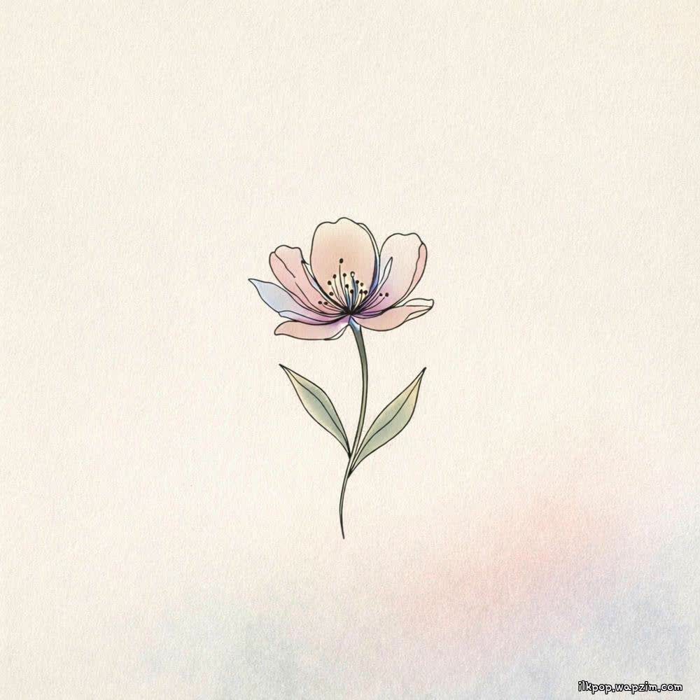 Cover album 넌 이미 충분히 아름다워 (You Already Beautiful Enough) dari JIN JU di Matikiri