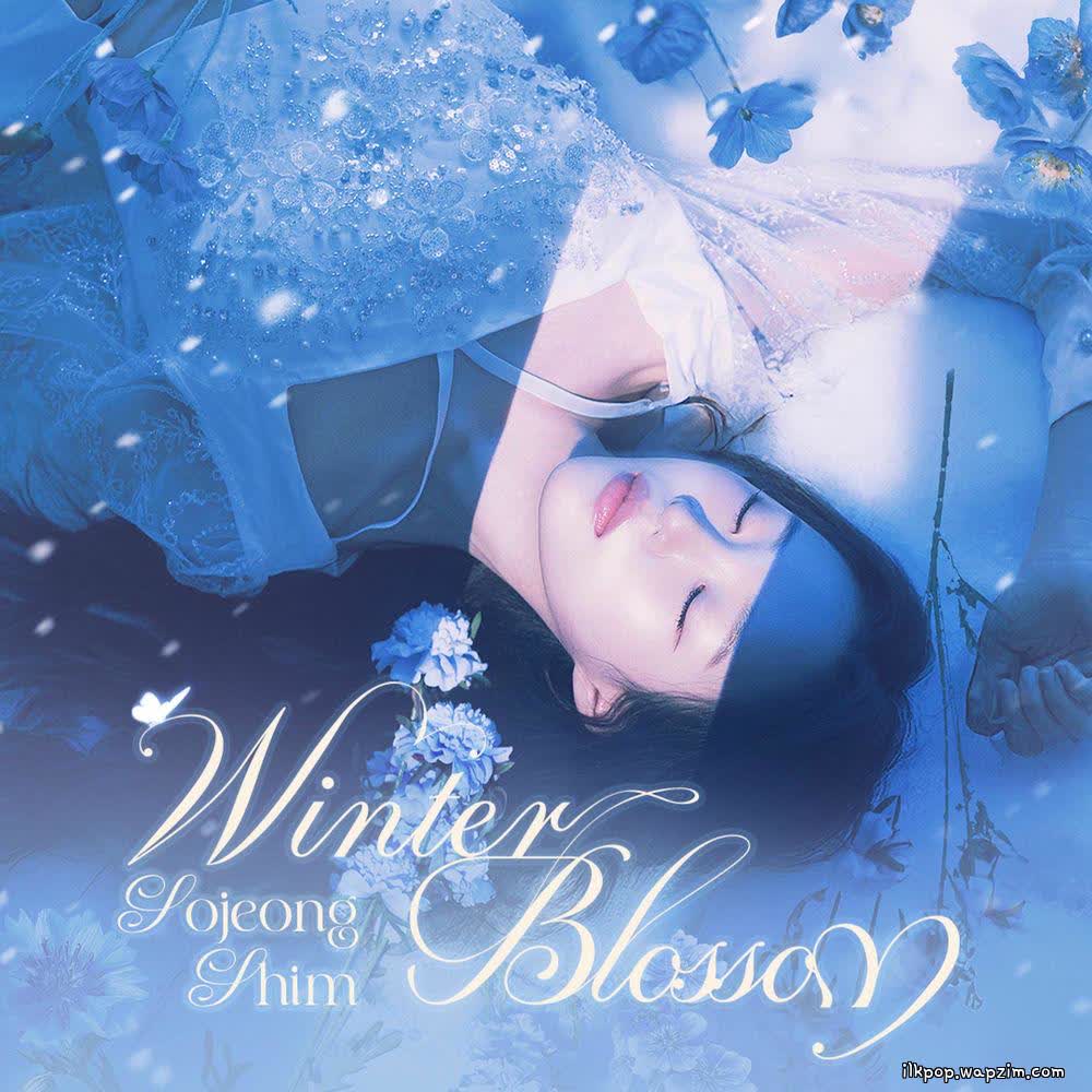 Cover So Jeong Shim - Winter Blossom Cover album Winter Blossom dari So Jeong Shim di Matikiri
