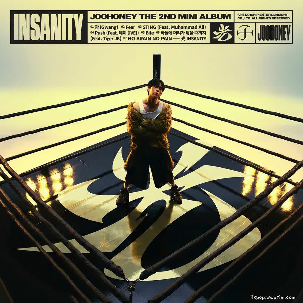 Cover album 光 (INSANITY) dari JOOHONEY di Matikiri