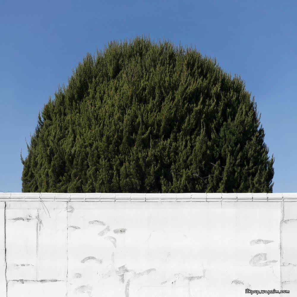 Cover album 이 세상 괜한 걱정 (No Worry Salon) dari Sanha di Matikiri