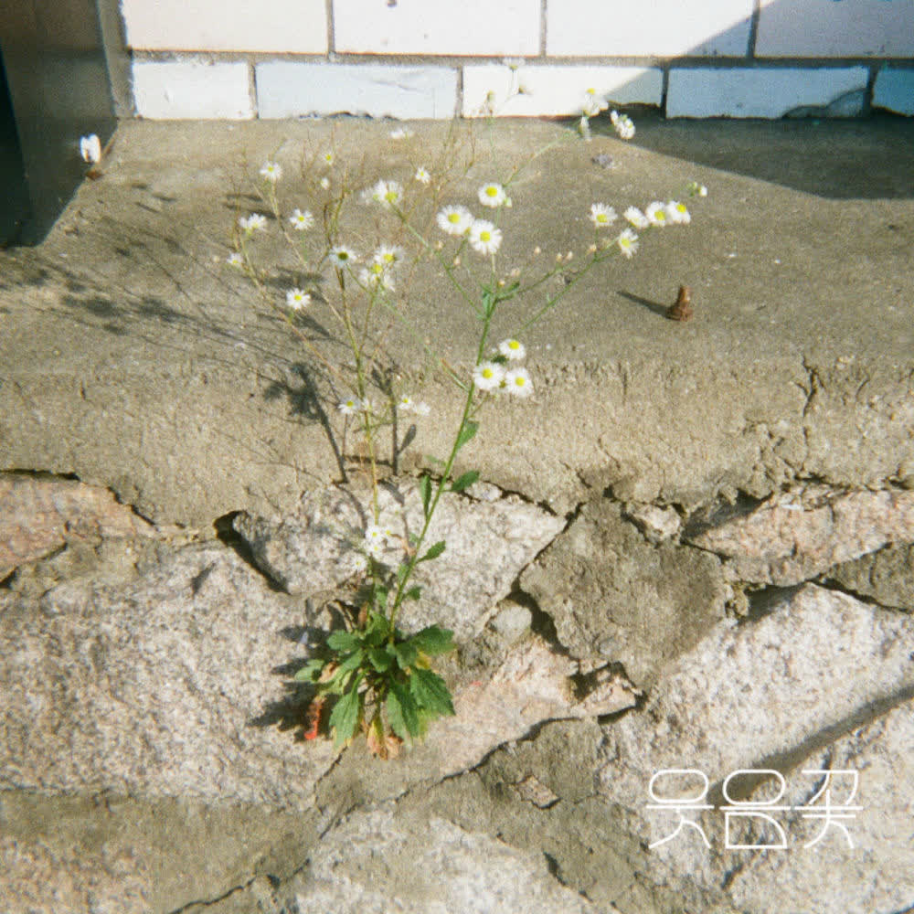 Cover album 웃음꽃 (Smiles Bloomed) dari Wooden Lee di Matikiri