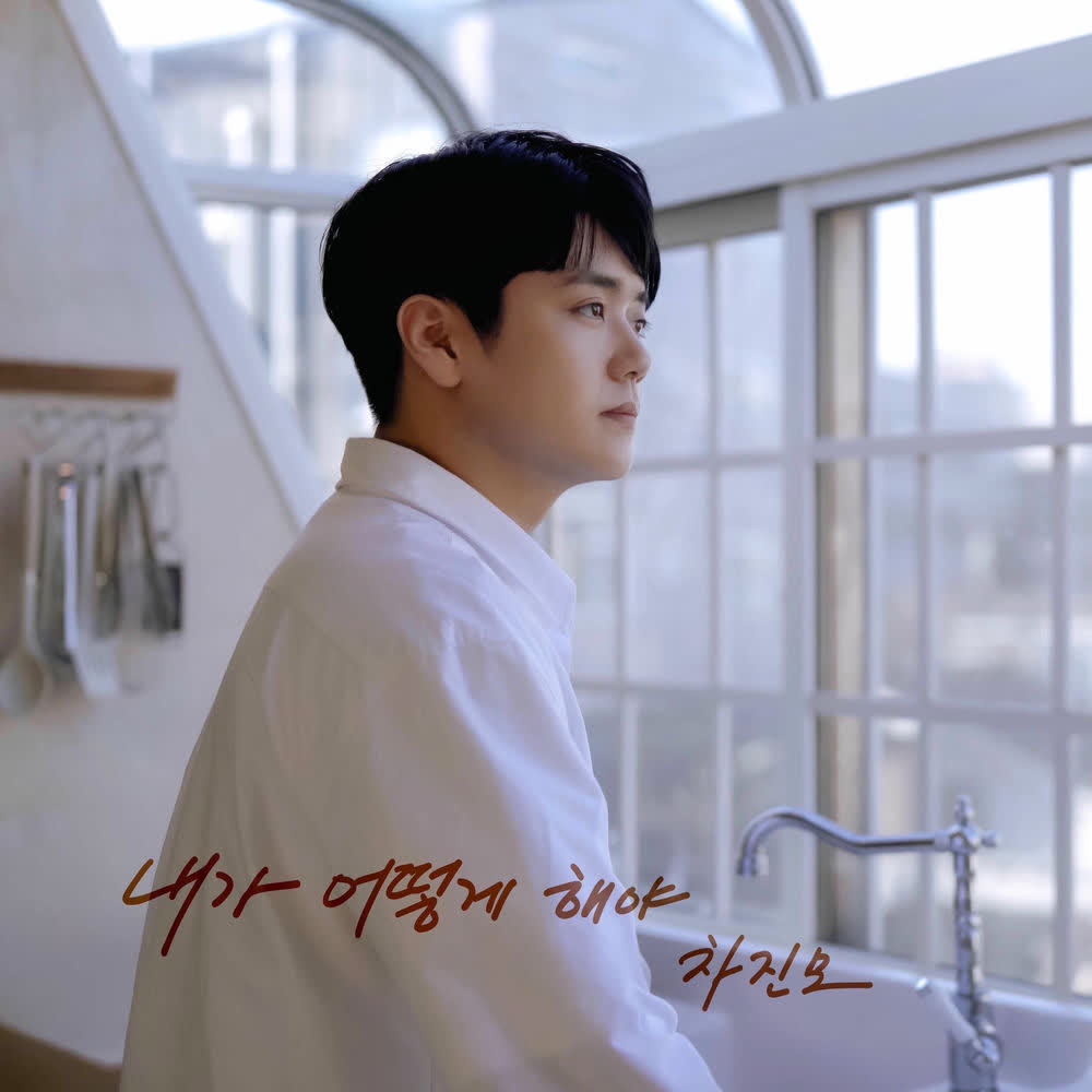 Cover album 내가 어떻게 해야 (What Can I Do for You) dari Cha Jin Mo di Matikiri
