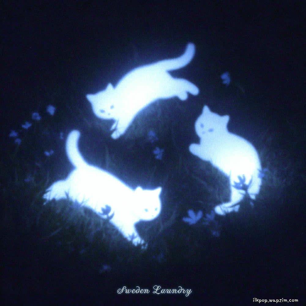Cover album 영영 (forevermore) dari Sweden Laundry di Matikiri
