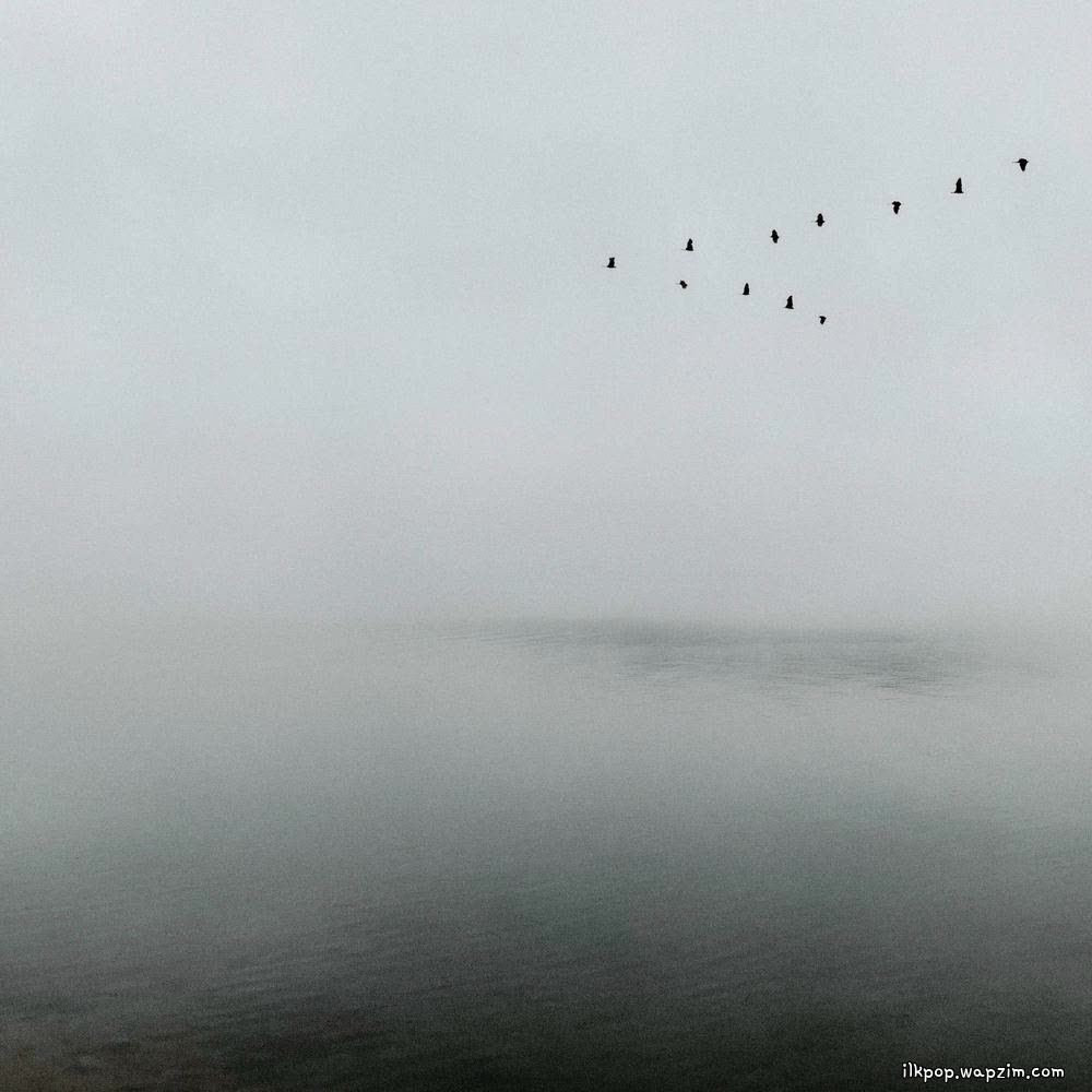 Cover album 작은새 (Songbird) dari JIYE di Matikiri
