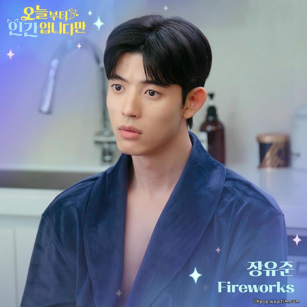 Cover album No tail to tell OST Part.3 dari Jang Yoo Joon di Matikiri