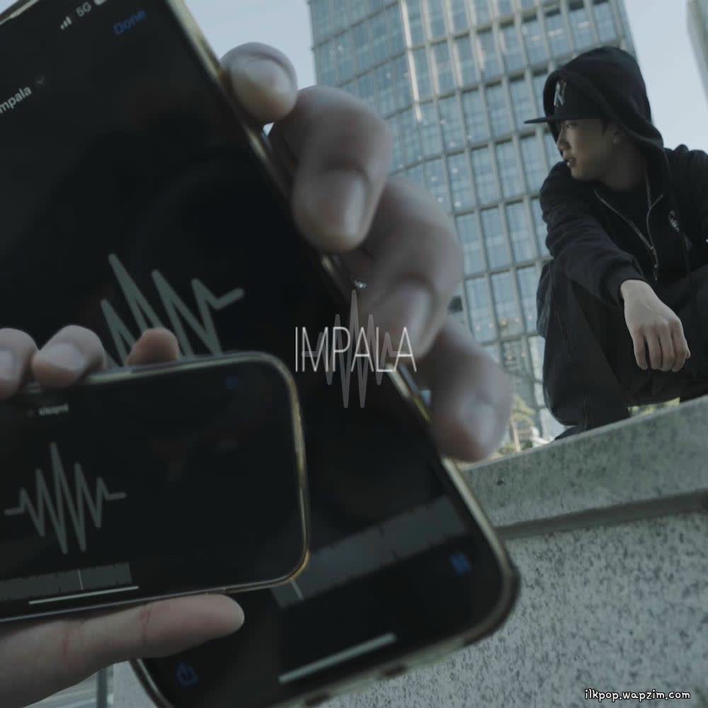Cover Jaynolimitss - impala Cover album IMPALA dari Jaynolimitss di Matikiri
