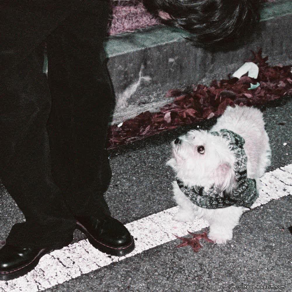 Cover album 冬に置いてきたもの dari Cloud Koh di Matikiri