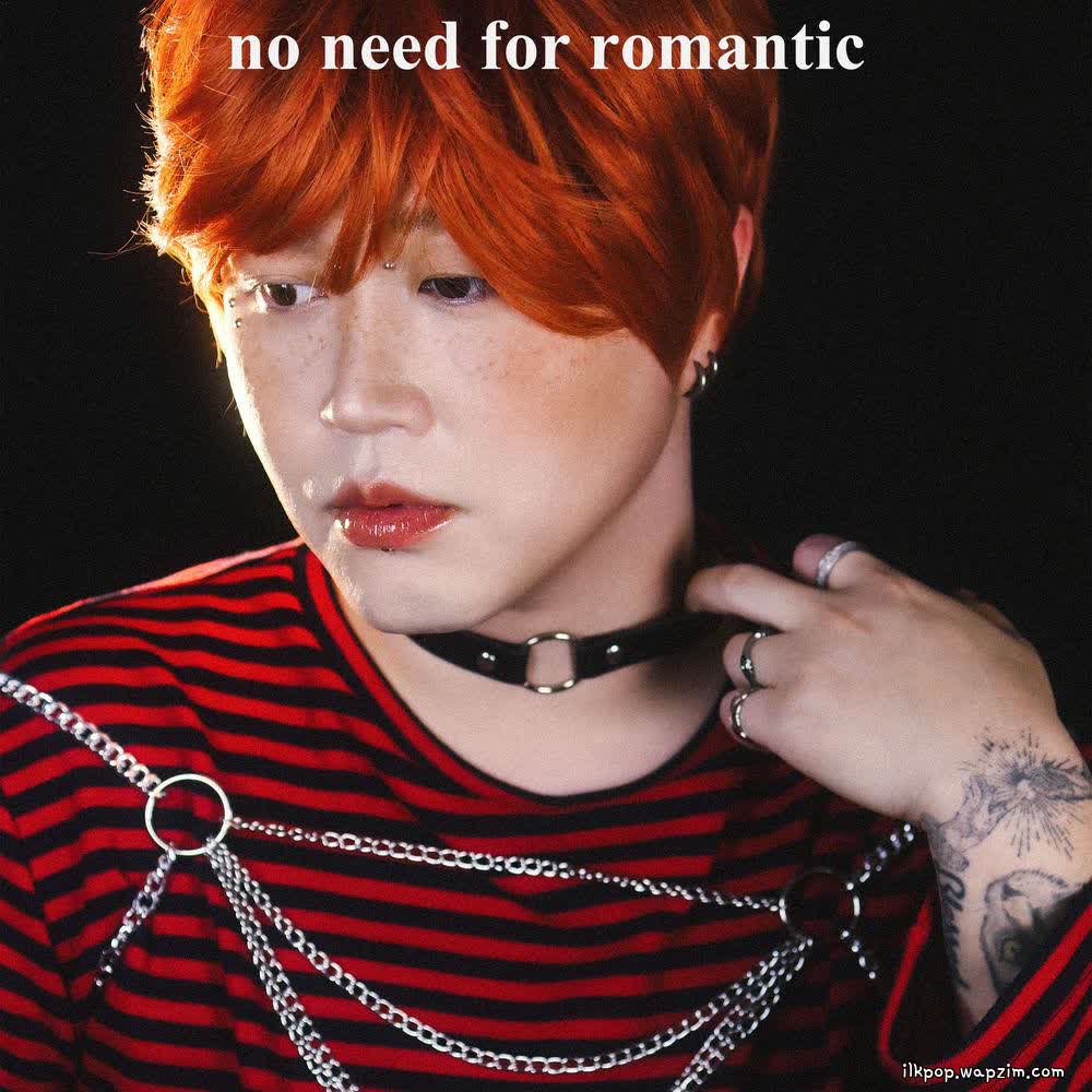 Cover album No need for romantic dari Beaver di Matikiri