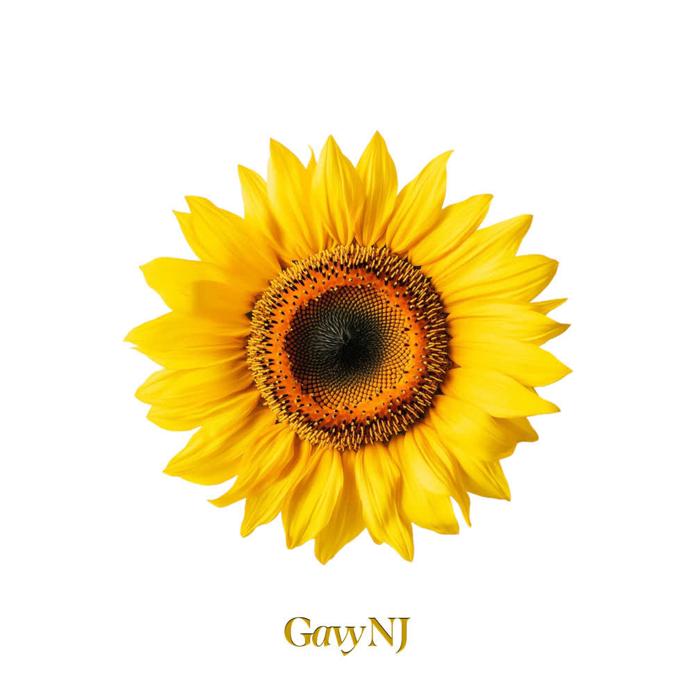 Cover album The Gavy NJ : II dari Gavy N.J. di Matikiri