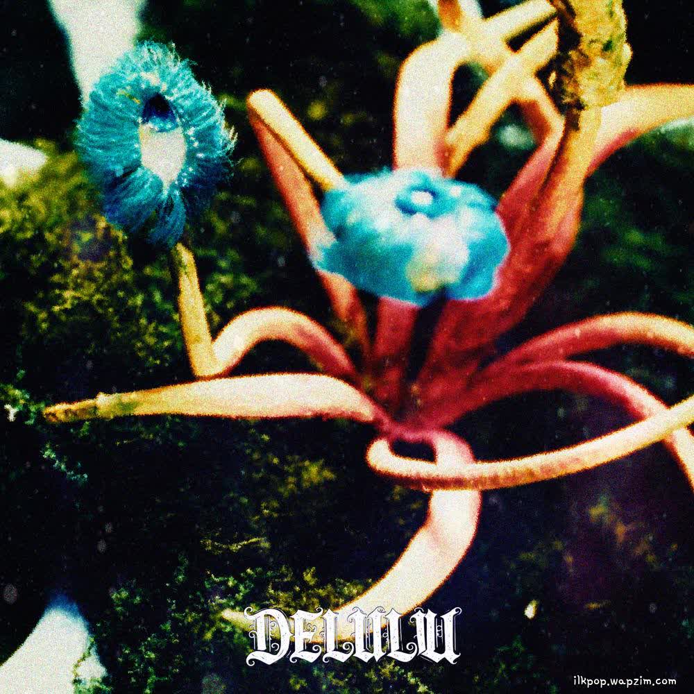 Cover album Delulu dari BORAN di Matikiri