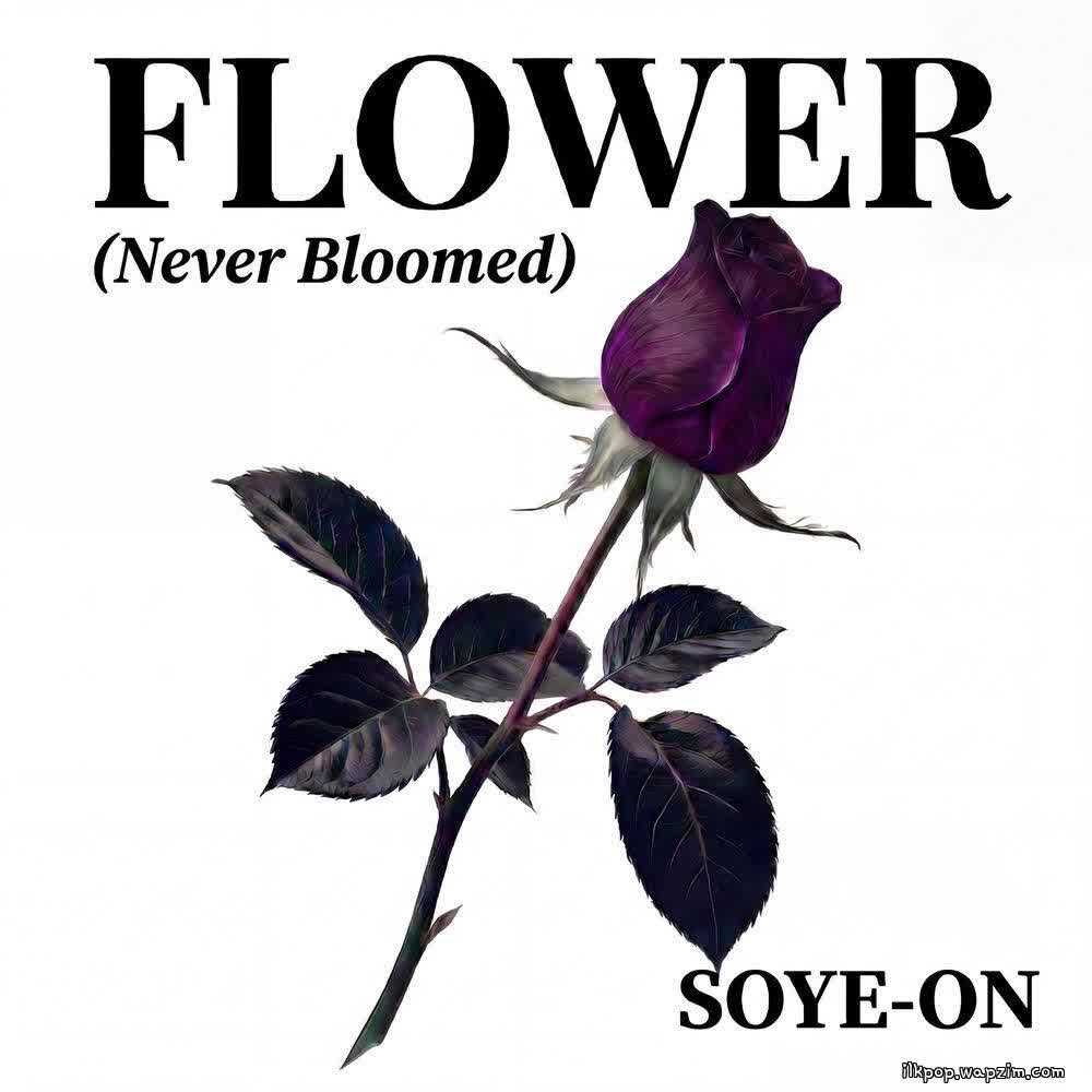 Cover album Flower (Never Bloomed) dari SoYe-On di Matikiri
