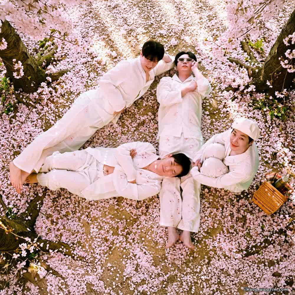 Cover album 1인칭 벚꽃 시점 (Cherry Blossom