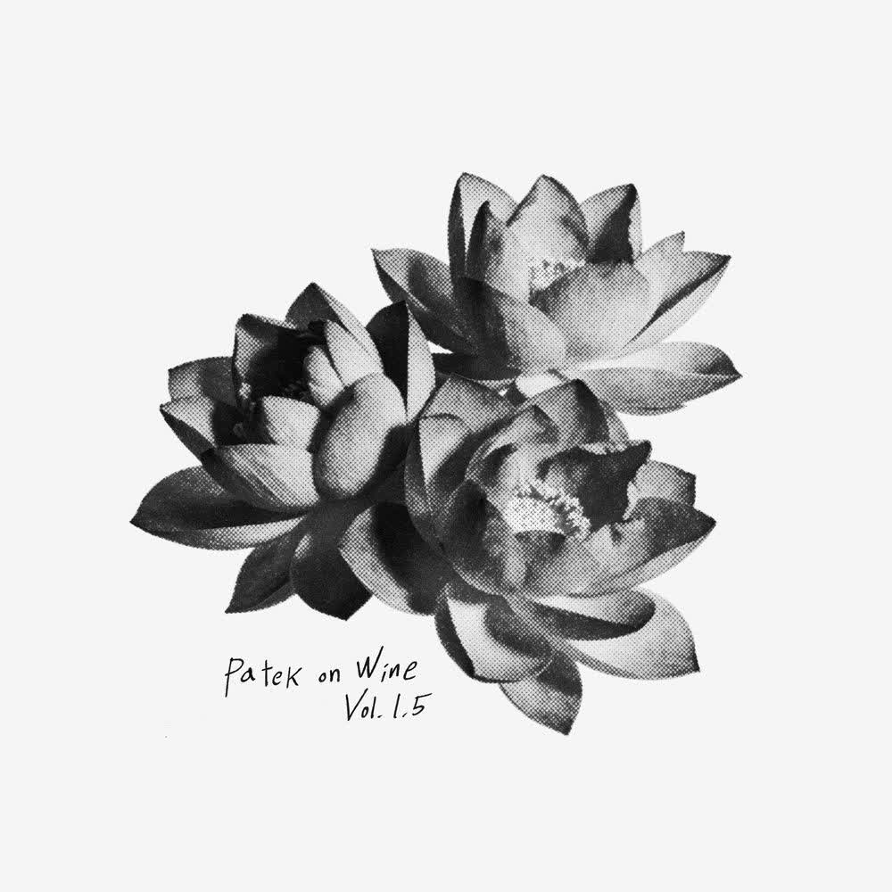 Cover album Patek on Wine 1.5 dari PATEKO & kid wine di Matikiri