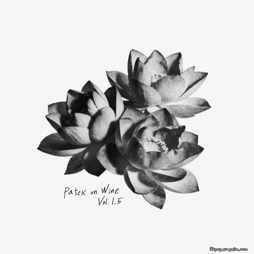 Cover album Patek on Wine 1.5 dari PATEKO & kid wine di Matikiri