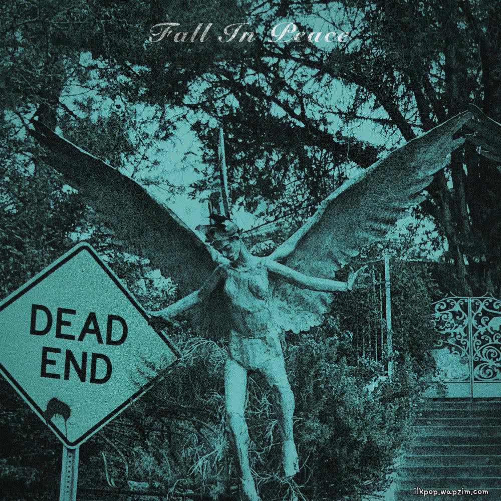 Cover Super Joy Club - Fall In Peace Cover album Fall In Peace dari Super Joy Club di Matikiri
