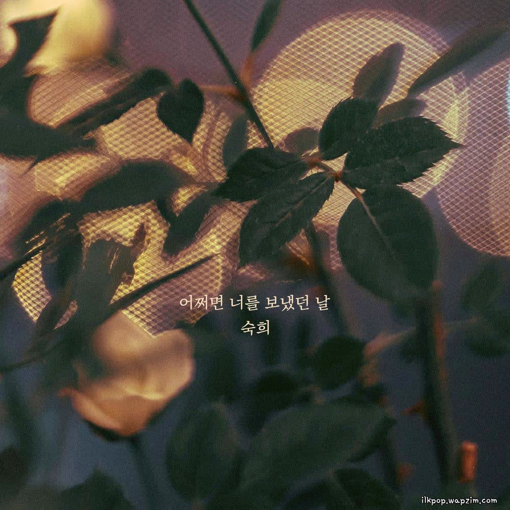 Cover album 어쩌면 너를 보냈던 날 (Maybe the day I let you go) dari Suki di Matikiri