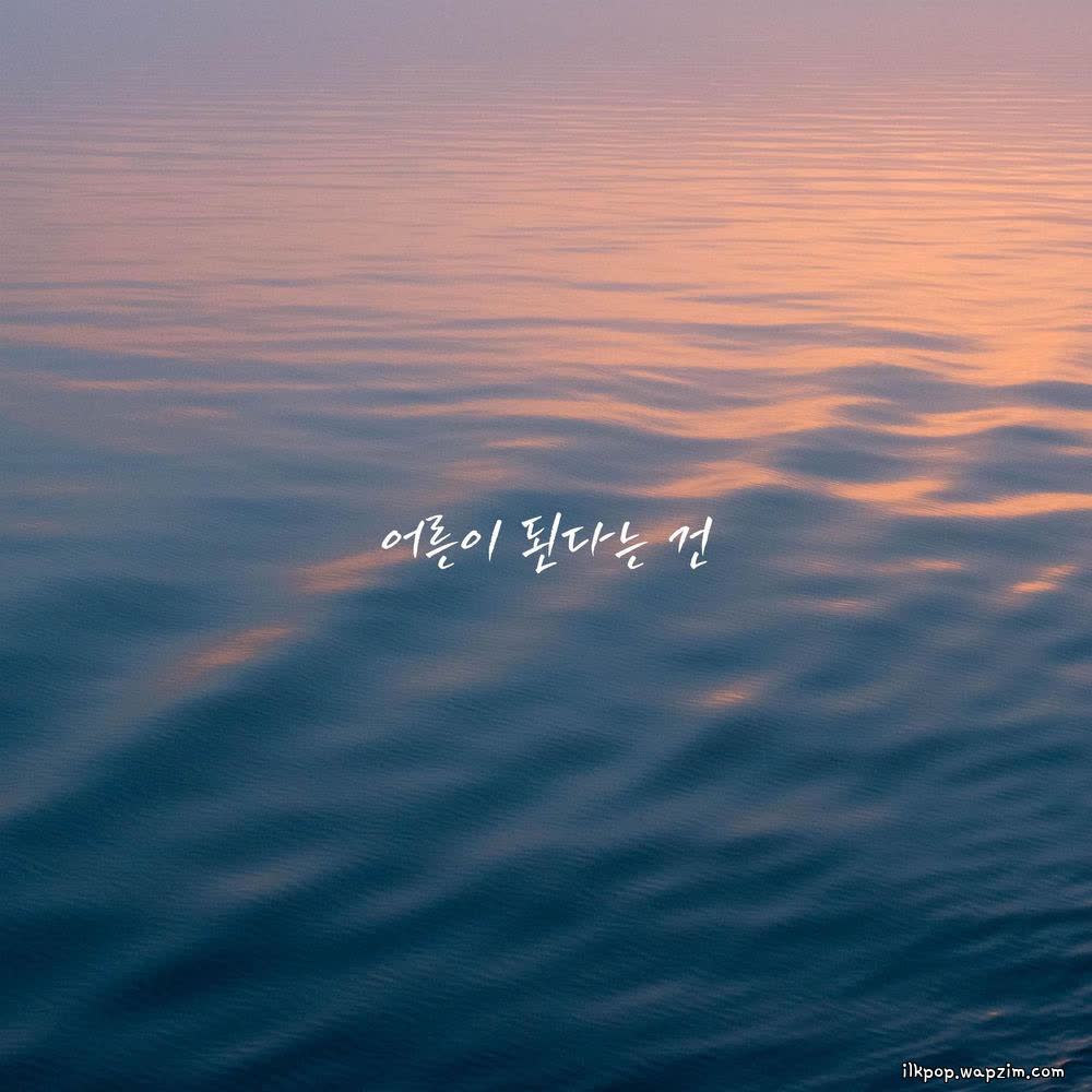 Cover album 어른이 된다는 건 (Becoming an Adult) dari a secondhand bookstore di Matikiri