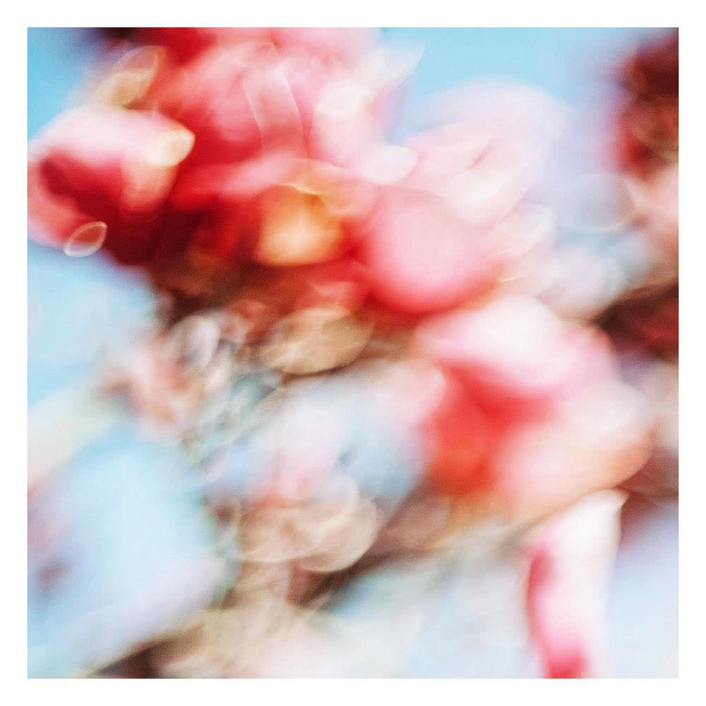 Cover album 영혼의 단짝 (beautiful, even now) dari ALEPH di Matikiri