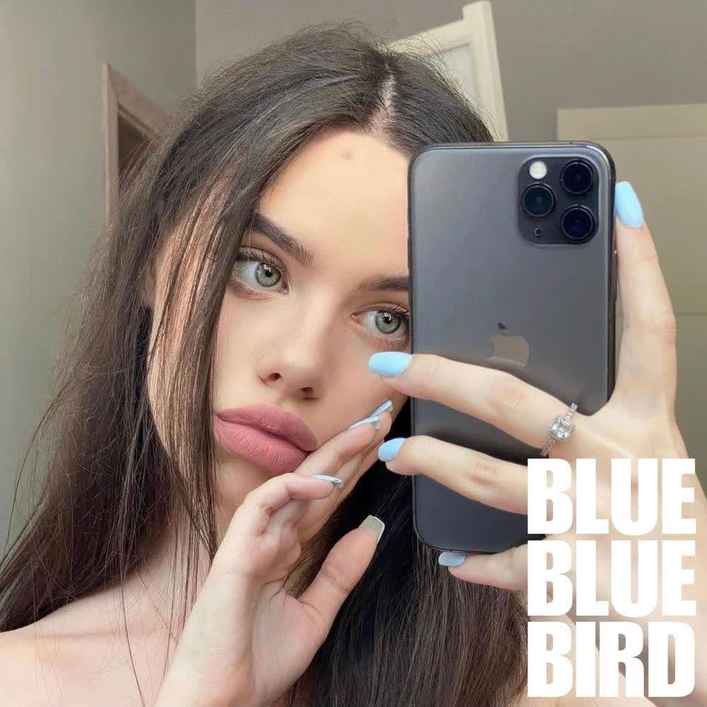 Cover album GOODBYEMYLOVE dari bluebluebird di Matikiri