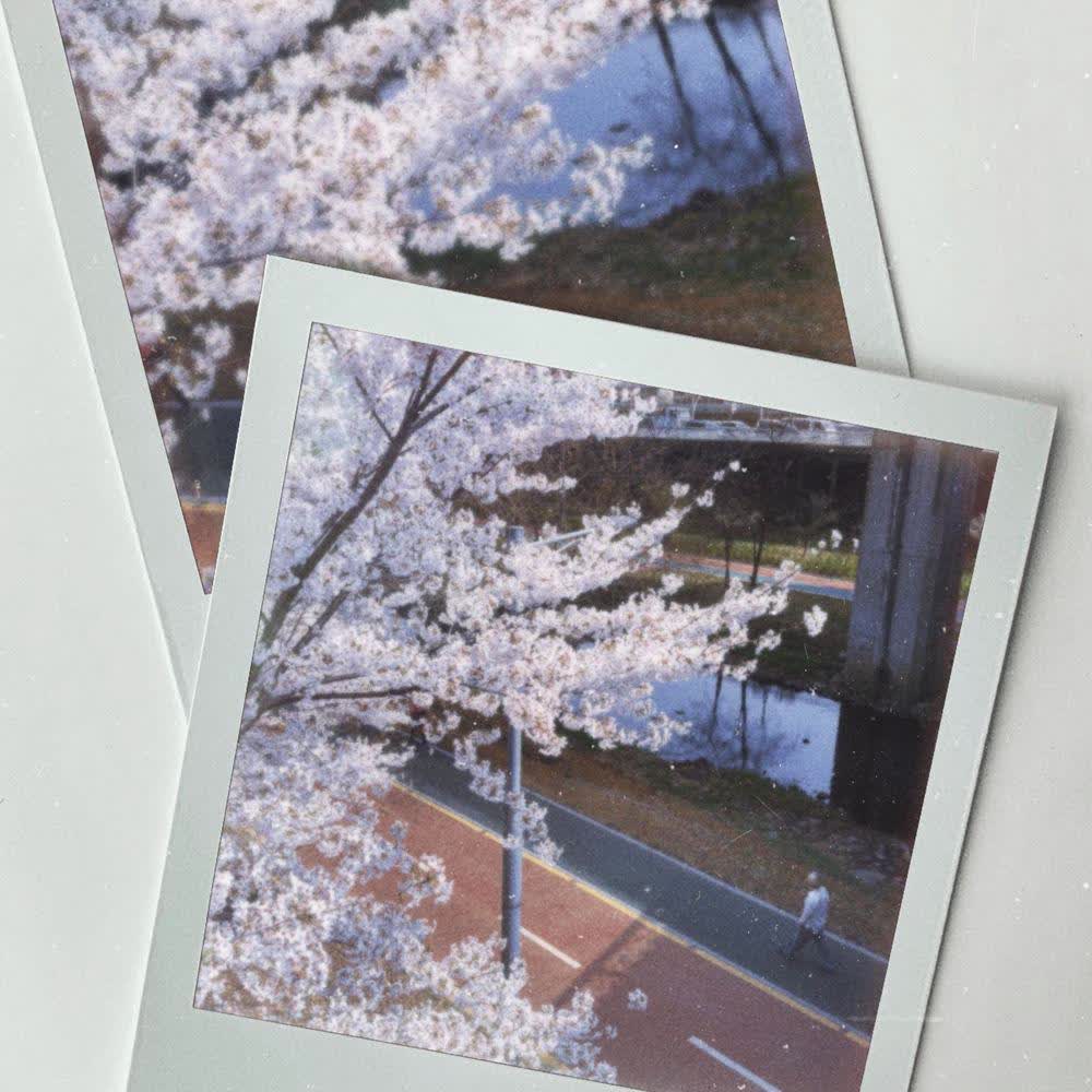 Cover ONDA - 왜 자꾸 생각나 (Swoon) (Feat. seoseo) Cover album 왜 자꾸 생각나 (Swoon) dari ONDA di Matikiri