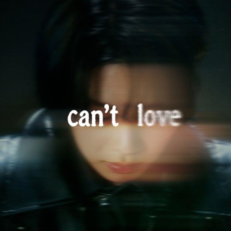 Cover album can