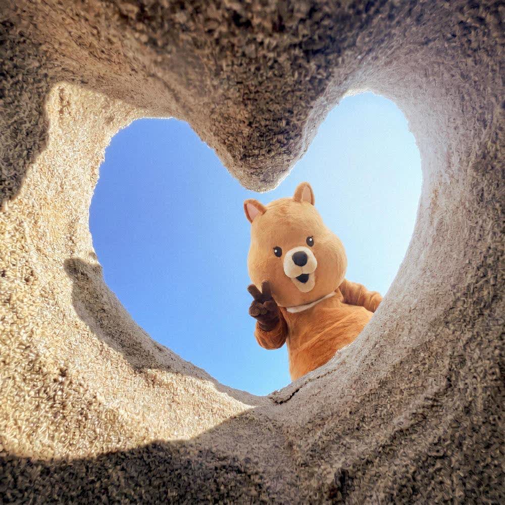 Cover album summertime dari NavyQuokka di Matikiri